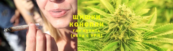 твердый Дмитровск
