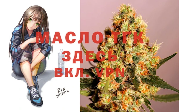 гидропоника Няндома