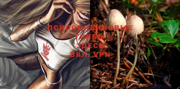 a pvp Дмитриев