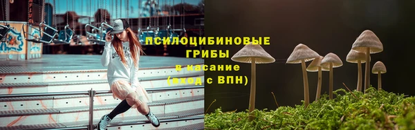 твердый Нягань