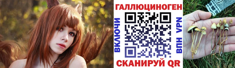 Галлюциногенные грибы Psilocybine cubensis  Вилюйск 